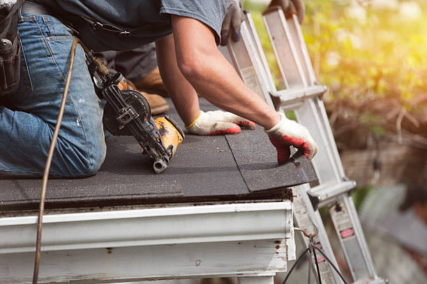 Best Roof Gutter Cleaning  in East Newark, NJ